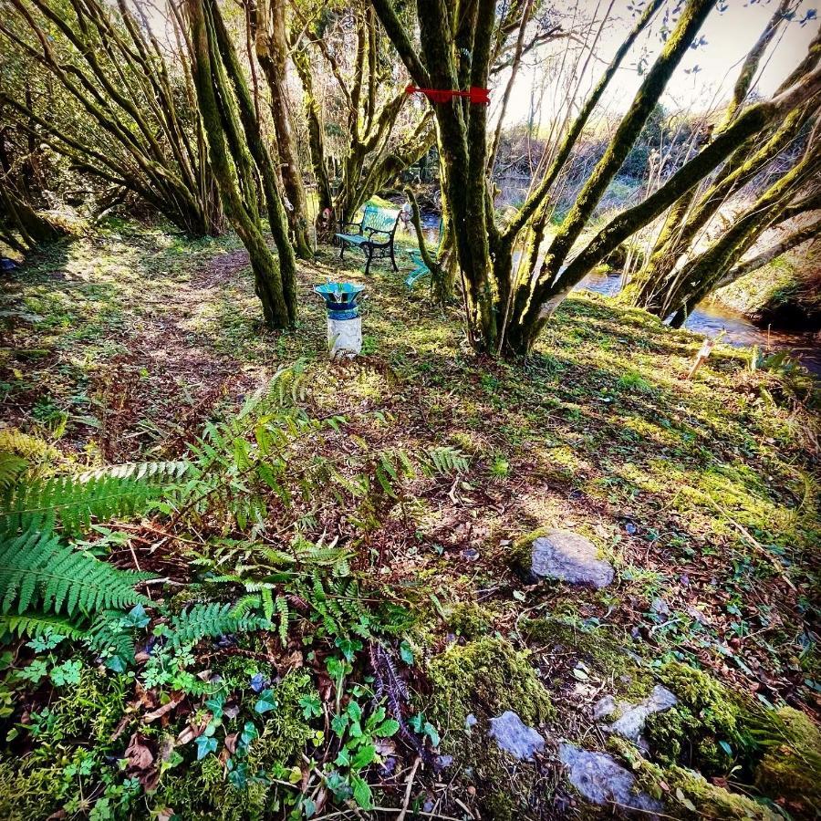 Stepping Stones Glamping Little Red Hotel Bantry Exterior photo